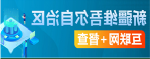 新疆维吾尔自治区 互联网+督查
