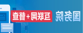 国务院 互联网+督查
