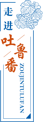 最靠谱的网赌软件